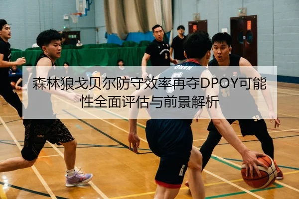森林狼戈贝尔防守效率再夺DPOY可能性全面评估与前景解析